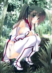 Rule 34 | 1girl, bare shoulders, blush, breasts, brown eyes, brown hair, day, dead or alive, elbow gloves, expressionless, forest, geta, gloves, grass, hair ribbon, iizuki tasuku, kasumi (doa), long hair, looking at viewer, nature, outdoors, panties, pelvic curtain, ponytail, ribbon, sash, sideboob, solo, squatting, tecmo, thighhighs, underwear, white gloves, white thighhighs