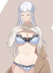 Rule 34 | 1girl, absurdres, ak-12 (girls&#039; frontline), bra, braid, breasts, closed eyes, clothes lift, copper, cowboy shot, french braid, girls&#039; frontline, grey bra, grey hair, grey panties, highres, large breasts, lifting own clothes, long hair, long sleeves, mole, mole on breast, navel, panties, simple background, solo, standing, sweater, sweater lift, underwear