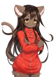 Rule 34 | 1girl, absurdres, animal ears, body fur, brown eyes, cat ears, cat girl, cat tail, closed mouth, crossed arms, female focus, fita (methynecros), furry, furry female, grey fur, highres, jacket, long hair, methynecros, original, red jacket, simple background, solo, tail, white background