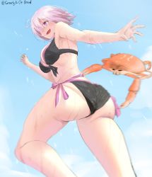 Rule 34 | 1girl, absurdres, ass, bikini, black bikini, breasts, crab, fate/grand order, fate (series), gnarlypzofbread, hair over one eye, highres, mash kyrielight, md5 mismatch, perspective, pink eyes, pink hair, resolution mismatch, sky, solo, source smaller, swimsuit, thighs