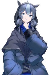Rule 34 | 1girl, animal ears, arknights, blue eyes, blue hair, blue jacket, closed mouth, cowboy shot, double bun, glaucus (arknights), hair bun, hand in pocket, hand on own chin, highres, jacket, long sleeves, looking at viewer, maho (drmaho1), mouth hold, multicolored hair, off shoulder, open clothes, open jacket, silver hair, simple background, white background