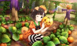 1girl ;) animal_ears artist_request black_bow black_bowtie blunt_bangs bow bowtie brown_hair chain-link_fence crops curled_tail day dog_ears dog_girl dog_tail dress fence floppy_ears food hat holding holding_food holding_vegetable ivy jack-o&#039;-lantern leaf looking_at_viewer official_art one_eye_closed orange_dress orange_footwear orange_hat outdoors puffy_short_sleeves puffy_sleeves pumpkin pumpkin_hat rainbow scarecrow shibarin_(show_by_rock!!) shoes short_hair short_sleeves show_by_rock!! smile soil solo sparkle squatting tail third-party_source two-tone_thighhighs vegetable yellow_eyes