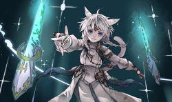 Rule 34 | 1girl, :3, animal ears, warrior of light (ff14), blue eyes, braid, cat ears, cat tail, circlet, dark background, fictional persona, final fantasy, final fantasy xiv, floating, floating object, floating weapon, glowing, glowing weapon, light particles, miqo&#039;te, pale skin, pointing, pointing at viewer, ren-co, sage (final fantasy), silver hair, smile, solo, sparkle, tail, twin braids, weapon