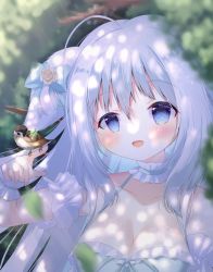 Rule 34 | 1girl, :d, absurdres, ahoge, animal, animal on hand, bare shoulders, bird, bird on hand, blue bow, blue dress, blue eyes, blurry, blurry background, blurry foreground, blush, bow, breasts, cleavage, clover, collarbone, commentary request, copyright request, depth of field, dress, four-leaf clover, hair between eyes, hair bow, halterneck, hand up, highres, long hair, medium breasts, mouth hold, open mouth, siera (sieracitrus), silver hair, smile, solo, upper body, virtual youtuber, wrist cuffs