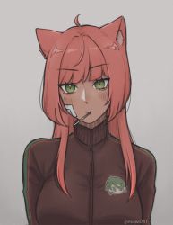 Rule 34 | 1girl, ahoge, animal ears, bandaid, bandaid on cheek, bandaid on face, blush, brown jacket, cat ears, commentary, copyright request, english commentary, green eyes, grey background, highres, jacket, looking at viewer, mouth hold, mugen0017, red hair, signature, simple background, solo, track jacket, twitter username