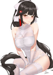 Rule 34 | 1girl, absurdres, artist name, azur lane, black hair, blush, breasts, brown eyes, china dress, chinese clothes, closed mouth, covered navel, dress, elbow gloves, feet out of frame, fingerless gloves, garter straps, gloves, hair ribbon, highres, ichikushi mojibake, lips, long hair, looking at viewer, medium breasts, official alternate costume, ponytail, ribbon, sitting, smile, solo, takao (azur lane), takao (the lessons of spring) (azur lane), thighhighs, very long hair, white background, white dress, white gloves, white ribbon, white thighhighs