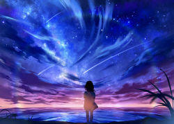 Rule 34 | 1girl, black hair, commentary request, dress, falling star, from behind, highres, night, night sky, original, riki (riki unc), scenery, short sleeves, sky, solo, standing, star (sky), starry sky, white dress, wide shot