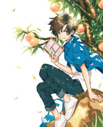 Rule 34 | 1boy, animal charm, apricot (fruit), apricot tree, backpack, bag, blue eyes, blue shirt, brown hair, denim, falling leaves, highres, holding, jeans, keishin, charm (object), leaf, looking at viewer, open clothes, open shirt, original, pants, plant, rock, shirt, shoes, short hair, sitting, sitting on rock, sneakers, tree, under tree, white background, white footwear, white shirt