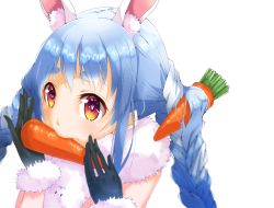 Rule 34 | 1girl, animal ear fluff, animal ears, black gloves, blue hair, braid, carrot hair ornament, extra ears, food-themed hair ornament, fur-trimmed gloves, fur scarf, fur trim, gloves, hair ornament, highres, hikimayu, hololive, long hair, looking at viewer, mouth hold, multicolored hair, orange eyes, portrait, rabbit-shaped pupils, rabbit ears, rabbit girl, scarf, short eyebrows, simple background, solo, swept bangs, symbol-shaped pupils, thick eyebrows, twin braids, twintails, two-tone hair, usada pekora, usada pekora (1st costume), virtual youtuber, white background, white hair, white scarf, xxxx