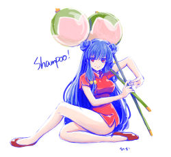 Rule 34 | 1girl, blue hair, china dress, chinese clothes, chui, dress, dual wielding, female focus, full body, highres, hiyopuko, holding, legs, light smile, looking at viewer, ranma 1/2, red eyes, shampoo (ranma 1/2), simple background, sitting, solo, twintails, weapon, white background