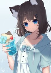 Rule 34 | 1girl, absurdres, animal ear fluff, animal ears, bendy straw, black hair, blue background, blue bow, blue eyes, blue flower, blue jacket, bow, cat ears, center frills, closed mouth, collarbone, cup, drawstring, dress, drinking glass, drinking straw, flower, frills, hair ornament, hairclip, highres, hinata (user rjkt4745), holding, holding cup, hood, hood down, hooded jacket, ice, ice cube, jacket, looking at viewer, open clothes, open jacket, original, smile, solo, upper body, white dress