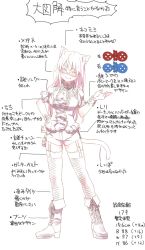 Rule 34 | 1girl, animal ears, cat ears, cat tail, character profile, character sheet, garter straps, glasses, original, pine-chan ver. 2, pine (pine-box), solo, tail, thighhighs