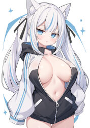 Rule 34 | 1girl, :o, absurdres, ahhien, animal ear fluff, animal ears, arms at sides, black hood, black jacket, black ribbon, blue eyes, blue hair, blush, breasts, commentary request, double-parted bangs, double vertical stripe, grey hair, hair ribbon, highres, hood, hooded jacket, jacket, large breasts, long sleeves, looking at viewer, multicolored clothes, multicolored hair, multicolored jacket, navel, no bra, no pants, no shirt, original, parted lips, partially unzipped, raised eyebrows, ribbon, sidelocks, sleeves past fingers, sleeves past wrists, solo, streaked hair, thigh gap, track jacket, twintails, two-tone jacket, white background, white jacket, zipper