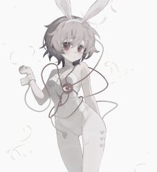 Rule 34 | 1girl, animal ears, breasts, closed mouth, cowboy shot, detached collar, eyeball, fake animal ears, grey hair, hair between eyes, hair ornament, heart, heart hair ornament, highres, komeiji satori, leotard, pantyhose, rabbit ears, rcs 4, red eyes, short hair, simple background, small breasts, solo, strapless, strapless leotard, third eye, touhou, white background, white leotard, white pantyhose, wrist cuffs