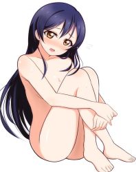 Rule 34 | 10s, 1girl, barefoot, blue hair, blush, collarbone, completely nude, convenient arm, convenient censoring, crossed ankles, embarrassed, hair between eyes, head tilt, hugging own legs, leg up, long hair, looking at viewer, love live!, love live! school idol project, nude, open mouth, simple background, sitting, solo, sonoda umi, wewe, white background, yellow eyes