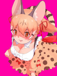 Rule 34 | 1girl, animal ears, bow, bowtie, brown eyes, brown hair, cat ears, cat girl, cat tail, extra ears, highres, kemono friends, kemono friends v project, kneehighs, large-spotted genet (kemono friends), long hair, looking at viewer, pink background, ribbon, shirt, simple background, skirt, socks, solo, tail, virtual youtuber, y0whqzz8bkslezl