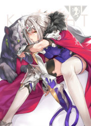 Rule 34 | 1girl, animal, armor, breasts, cape, circlet, fur trim, highres, knight, looking at viewer, ohland, open mouth, original, panther, silver hair, sitting, thighhighs, weapon, white thighhighs, yellow eyes