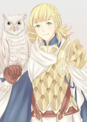 Rule 34 | 1girl, armor, bird, blonde hair, cape, feathered wings, feh (fire emblem heroes), fire emblem, fire emblem heroes, gloves, green eyes, grey background, hakirino, highres, nintendo, owl, scale armor, sharena (fire emblem), simple background, solo, upper body, wings, yellow eyes