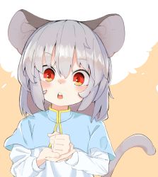 Rule 34 | 1girl, animal ears, capelet, commentary request, grey hair, highres, kae karee, long sleeves, looking at viewer, medium hair, mouse ears, mouse tail, nazrin, open mouth, palm-fist tap, red eyes, shirt, solo, tail, touhou, upper body, white shirt