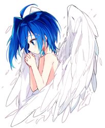 Rule 34 | 1boy, ahoge, angel wings, blue eyes, blue hair, blush, cardfight!! vanguard, male focus, name (oiuio), sendou aichi, simple background, smile, solo, white background, wings