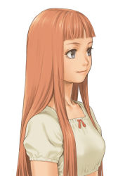 Rule 34 | 10s, 1girl, alternate hairstyle, bad id, bad pixiv id, blue eyes, brown hair, last exile, last exile: gin&#039;yoku no fam, lavie head, long hair, profile, red hair, simple background, solo, upper body