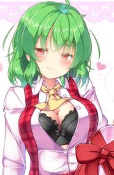 Rule 34 | 1girl, ahoge, aka tawashi, ascot, black bra, blush, box, bra, breasts, breasts day, buttons, collared shirt, commentary request, gift, green hair, heart, heart-shaped box, holding, holding gift, kazami yuuka, lace, lace-trimmed bra, lace trim, large breasts, long sleeves, looking at viewer, open clothes, open shirt, plaid, plaid vest, red eyes, red ribbon, red vest, ribbon, seductive smile, shirt, sidelocks, smile, solo, touhou, underwear, upper body, vest, white shirt, wing collar, yellow ascot
