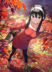Rule 34 | 1girl, arm behind back, autumn, autumn leaves, bag, black hair, black pantyhose, breasts, brown footwear, closed mouth, day, dress, dutch angle, food, from above, full body, hairband, highres, holding, holding bag, kantoku, long sleeves, looking at viewer, looking up, medium breasts, off-shoulder sweater, off shoulder, outdoors, pantyhose, red eyes, red sweater, shoes, short hair with long locks, sidelocks, solo, spy x family, standing, sweater, sweater dress, vegetable, white hairband, yor briar