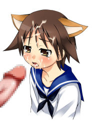 Rule 34 | 00s, 1girl, animal ears, cat ears, censored, cum, cum in mouth, cum on hair, fellatio, flat chest, miyafuji yoshika, mosaic censoring, oral, penis, petapann, solo focus, strike witches, tears, world witches series
