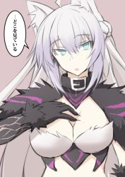 Rule 34 | 1girl, agrius metamorphosis, ahoge, animal ears, atalanta (fate), atalanta alter (fate), black gloves, braid, breasts, cat ears, cleavage, collar, commentary request, fate/grand order, fate (series), fur trim, gloves, green eyes, hair between eyes, large breasts, long hair, looking at viewer, multicolored hair, nahu, silver hair, solo, translated, very long hair