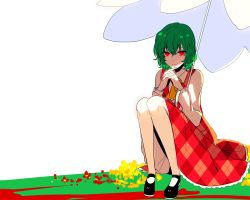 Rule 34 | 1girl, ascot, checkered clothes, checkered skirt, checkered vest, glowing, glowing eyes, green hair, hair between eyes, kazami yuuka, long sleeves, looking at viewer, mary janes, nr (cmnrr), own hands clasped, own hands together, parasol, red eyes, shoes, short hair, sitting, skirt, smile, solo, touhou, transparent background, umbrella, vest
