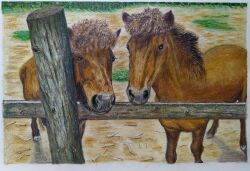 Rule 34 | animal, colored pencil (medium), fence, grass, highres, horse, looking at viewer, nakanaori31, no humans, original, realistic, still life, traditional media, wooden fence