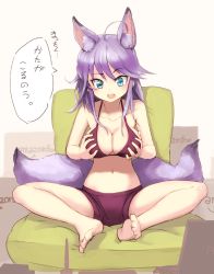 Rule 34 | 10s, 1girl, 2012, :o, ahoge, amazon (company), animal ears, bare shoulders, bikini, bikini top only, blue eyes, breast hold, breasts, collarbone, fox ears, fox tail, large breasts, long hair, multiple tails, navel, nosuku, open mouth, original, purple hair, shorts, sitting, solo, speech bubble, swimsuit, tail, translated