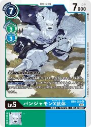 Rule 34 | belt, cape, claws, digimon, digimon (creature), digimon card game, furry, lion boy, looking at viewer, magatama, magatama necklace, necklace, official art, panjyamon, panjyamon x-antibody, snow