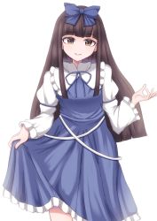 Rule 34 | 1girl, bloom, blue bow, blue dress, blunt bangs, bow, brown eyes, brown hair, dress, frills, hair bow, hand up, heart, highres, holding, holding clothes, holding skirt, long hair, long sleeves, looking at viewer, miton iguana, puffy sleeves, ribbon, simple background, skirt, smile, solo, star sapphire, touhou, white background