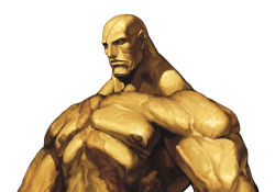 Rule 34 | 1boy, bald, capcom, eyepatch, highres, male focus, muscular, nona, official art, sagat, scar, solo, street fighter, svc chaos, topless male, upper body