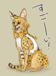 Rule 34 | 10s, animal, animal ears, bow, bowtie, brown background, clothed animal, kemono friends, kemonomichi (blue black), no humans, serval, serval (kemono friends), serval print, serval tail, simple background, tail, translation request