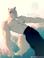 Rule 34 | 1boy, abs, abstract background, absurdres, animal, animal ears, bara, bare pectorals, black pants, dog boy, dog ears, dog tail, facial tattoo, feet out of frame, furry, furry male, highres, large pectorals, looking ahead, male focus, mature male, medium hair, multiple views, muscular, muscular male, nipples, original, pants, pectorals, standing, tail, tattoo, thick eyebrows, topless male, weibo 6413154379, white fur, white hair