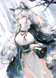 Rule 34 | 1girl, animal ear fluff, animal ears, arknights, bell, black cloak, blue eyes, blurry, blurry foreground, braid, branch, breasts, cloak, commentary request, depth of field, dress, dutch angle, hair between eyes, holding, kinokohime, leopard ears, leopard girl, leopard tail, long hair, looking at viewer, medium breasts, parted lips, pramanix (arknights), sketch, solo, tail, turtleneck, turtleneck dress, very long hair, white dress, white hair