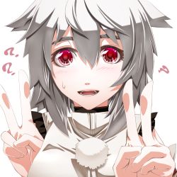 Rule 34 | 1girl, ?, close-up, confused, double v, eyebrows, female focus, icf, inubashiri momiji, looking at viewer, mazuka kei, open mouth, red eyes, short hair, silver hair, simple background, solo, sweatdrop, touhou, v, white background