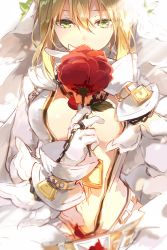 Rule 34 | 10s, 1girl, ahoge, bare pectorals, belt, blonde hair, bodysuit, breasts, brown belt, chain, colored eyelashes, covered mouth, eyelashes, fate/extra, fate/extra ccc, fate (series), flower, fukuda935, gloves, green eyes, hair between eyes, hair flower, hair ornament, hands up, holding, holding flower, jewelry, leaf, light rays, lock, long sleeves, looking at viewer, looking down, medium breasts, nero claudius (bride) (fate), nero claudius (fate), nero claudius (fate) (all), nero claudius (fate/extra), padlock, pectorals, petals, red flower, red rose, ring, rose, rose petals, short hair, simple background, solo, sunlight, upper body, veil, white background, white gloves
