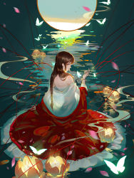Rule 34 | 1girl, absurdres, bai yao pu, bare shoulders, bell, black hair, braid, chinese clothes, flower, from behind, highres, lantern, looking at viewer, looking back, lotus, nape, off shoulder, reflection, solo, string, tao yao, water, wet