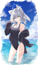 Rule 34 | 1girl, animal ear fluff, animal ears, black jacket, black one-piece swimsuit, blue archive, blue eyes, blue sky, cloud, competition swimsuit, contrapposto, cowboy shot, cross hair ornament, day, grey hair, hair ornament, halo, highres, hood, hooded jacket, hoodie, horizon, jacket, liu liu, looking at viewer, medium hair, mismatched pupils, ocean, one-piece swimsuit, outdoors, shiroko (blue archive), shiroko (swimsuit) (blue archive), sky, soaking feet, solo, standing, swimsuit, two-tone swimsuit, wading