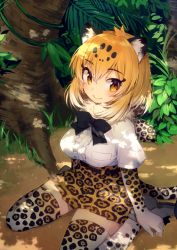 Rule 34 | 1girl, animal ear fluff, animal ears, animal print, arm support, backlighting, belt, black belt, black bow, black bowtie, bow, bowtie, breast pocket, breasts, brown eyes, c:, center frills, closed mouth, comiket 96, dappled sunlight, day, dot nose, elbow gloves, eyes visible through hair, frilled shirt, frills, from above, from side, fur collar, gloves, gradient hair, grass, hair between eyes, hatagaya, high-waist skirt, jaguar (kemono friends), jaguar ears, jaguar girl, jaguar print, jaguar tail, kemono friends, large breasts, leaf, light blush, looking at viewer, looking to the side, looking up, miniskirt, multicolored hair, nature, on ground, orange hair, outdoors, palm leaf, plant, pleated skirt, pocket, print gloves, print skirt, print thighhighs, roots, shade, shirt, shirt tucked in, shoes, short hair, short sleeves, sidelocks, sitting, skirt, smile, solo, sunlight, tail, thick thighs, thighhighs, thighs, tree, tree shade, tsurime, wariza, white footwear, white shirt, zettai ryouiki