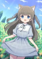 Rule 34 | 1girl, absurdres, animal ears, animal print, blue eyes, blush, brown hair, cat ears, cat girl, cat print, cat tail, dress, field, flower, frilled shirt collar, frills, hair ribbon, highres, indie virtual youtuber, itigori ena, long hair, looking at viewer, mole, mole under eye, neck ribbon, open mouth, outdoors, plaid, plaid dress, plaid ribbon, ribbon, short sleeves, skirt hold, sky, solo, tail, tree, two side up, tyakomis, very long hair, virtual youtuber