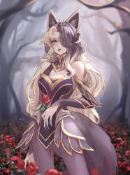 Rule 34 | 1girl, absurdres, ahri (league of legends), animal ears, bare shoulders, black hair, black pantyhose, blonde hair, breasts, commentary request, coven ahri, fake animal ears, field, fingernails, flower, flower field, fox ears, green eyes, hair over one eye, heart, highres, jewelry, kitsune, large breasts, league of legends, long sleeves, mouth hold, outdoors, pantyhose, qin da xing, red flower, red rose, ring, rose, sharp fingernails, solo, standing, tail