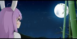 Rule 34 | 1girl, animal ears, bad id, bad pixiv id, bamboo, blush, expressionless, from behind, full moon, letterboxed, long hair, looking away, looking up, moon, mountain, night, night sky, outdoors, poco (zdrq3), purple hair, rabbit ears, red eyes, reisen udongein inaba, shirt, sky, solo, star (sky), starry sky, touhou, upper body, white shirt