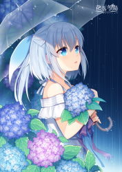 Rule 34 | 1girl, bare shoulders, blue eyes, blue flower, blue ribbon, blush, character request, commentary request, copyright name, dress, flower, hair between eyes, hair ornament, hitsuki rei, holding, holding umbrella, hydrangea, looking away, off-shoulder dress, off shoulder, parted lips, pink flower, ponytail, purple flower, purple ribbon, rain, ribbon, silver hair, snowdreams -lost in winter-, solo, transparent, transparent umbrella, umbrella, white dress