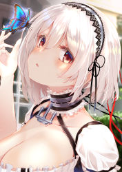 Rule 34 | 1girl, absurdres, anchor choker, azur lane, bow, breasts, bug, butterfly, choker, collarbone, commentary request, frilled choker, frills, hair bow, hairband, highres, insect, lace-trimmed hairband, lace trim, large breasts, looking at viewer, o-ring, o-ring top, puffy short sleeves, puffy sleeves, puripuri, red eyes, scoop neck, short hair, short sleeves, sirius (azur lane), solo, upper body, white frills, white hair