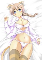 Rule 34 | 1girl, ahoge, animal ears, blue eyes, blush, bra, braid, breasts, brown hair, cat ears, cat tail, groin, large breasts, long hair, looking at viewer, lying, lynette bishop, navel, open clothes, open mouth, open shirt, panties, red liquid (artist), shiny skin, shirt, single braid, skindentation, solo, strike witches, striped clothes, striped thighhighs, tail, thigh gap, thighhighs, underwear, world witches series