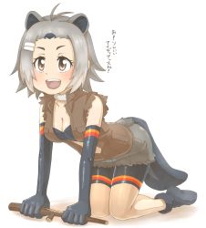 Rule 34 | 10s, 1girl, :d, all fours, american beaver (kemono friends), animal ears, bare legs, bare shoulders, beaver ears, beaver tail, bike shorts, black bra, black footwear, black gloves, black shorts, bra, breast pocket, breasts, brown eyes, brown vest, cleavage, commentary request, detached collar, elbow gloves, full body, fur collar, gloves, grey hair, grey shorts, hair ornament, hairclip, highres, kemono friends, looking afar, medium breasts, navel, open mouth, pocket, shiny clothes, shoes, short hair, shorts, shorts under shorts, smile, solo, stomach, tail, teeth, thin (suzuneya), translation request, underwear, upper teeth only, vest